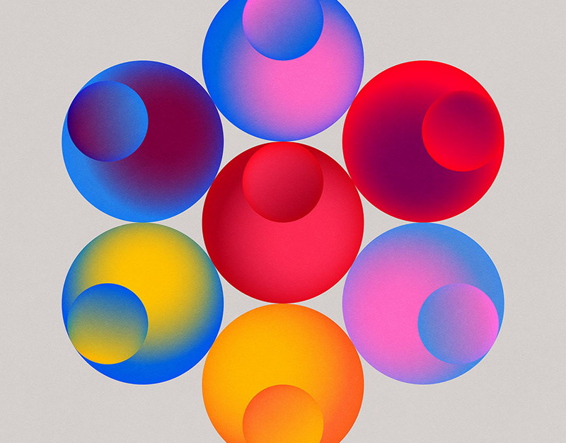 Бобры появились в центре Москвы