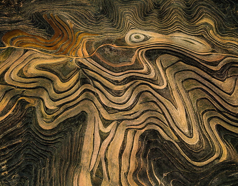 Домклик расширяет условия льготной ипотеки для Дальнего Востока и Арктики (12)